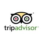 tripadvisor-bulb